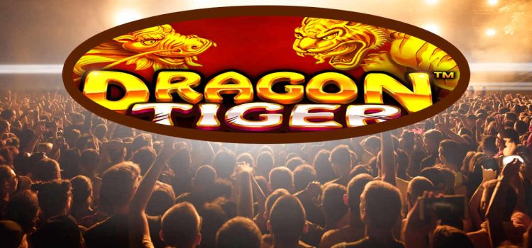 Playing Dragon Tiger at music festivals